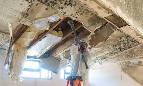 Mold Documentation for Insurance Claims in Beavercreek, OH